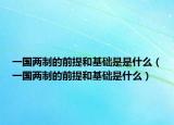 一国两制的前提和基础是是什么（一国两制的前提和基础是什么）