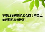 苹果11美颜相机怎么调（苹果11美颜相机怎样设置）