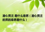 潜心贯注 是什么意思（潜心贯注的贯的意思是什么）