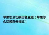 苹果怎么切换白色主题（苹果怎么切换白天模式）