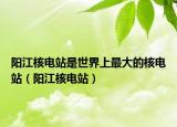 阳江核电站是世界上最大的核电站（阳江核电站）