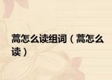 蒿怎么读组词（蒿怎么读）