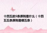 十四五的5条原则是什么（十四五五条原则是哪五条）