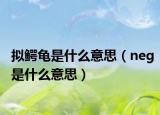 拟鳄龟是什么意思（neg是什么意思）