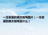 一生挚爱的英文缩写图片（一生挚爱的英文缩写是什么）