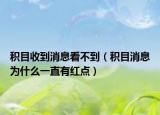 积目收到消息看不到（积目消息为什么一直有红点）
