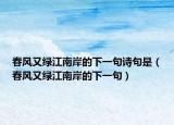 春风又绿江南岸的下一句诗句是（春风又绿江南岸的下一句）