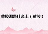 黄胶泥是什么土（黄胶）