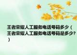 王者荣耀人工服务电话号码多少（王者荣耀人工服务电话号码是多少?）