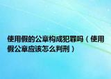 使用假的公章构成犯罪吗（使用假公章应该怎么判刑）