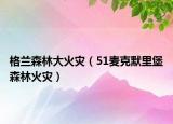 格兰森林大火灾（51麦克默里堡森林火灾）