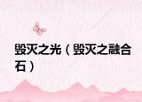 毁灭之光（毁灭之融合石）