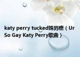 katy perry tucked姝岃瘝（Ur So Gay Katy Perry歌曲）