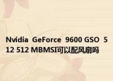 Nvidia  GeForce  9600 GSO  512 512 MBMSI可以配风扇吗