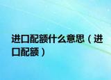 进口配额什么意思（进口配额）
