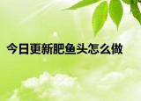 今日更新肥鱼头怎么做