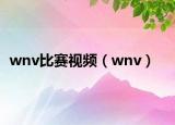 wnv比赛视频（wnv）