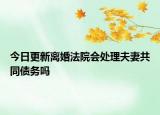 今日更新离婚法院会处理夫妻共同债务吗
