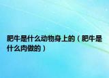 肥牛是什么动物身上的（肥牛是什么肉做的）