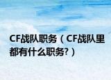 CF战队职务（CF战队里都有什么职务?）