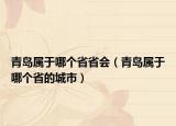 青岛属于哪个省省会（青岛属于哪个省的城市）