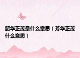 韶华正茂是什么意思（芳华正茂什么意思）