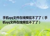 手机qq文件在线预览不了了（手机qq文件在线预览不了了）