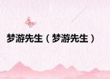 梦游先生（梦游先生）