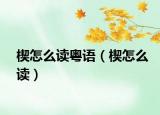 楔怎么读粤语（楔怎么读）