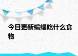 今日更新蝙蝠吃什么食物