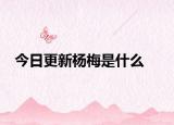 今日更新杨梅是什么