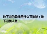 地下道的异味用什么可消除（地下道美人鱼）