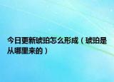 今日更新琥珀怎么形成（琥珀是从哪里来的）