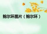 鲍尔环图片（鲍尔环）