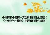 小柳树和小枣树一文告诉我们什么道理（《小枣树与小柳树》告诉我们什么道理）