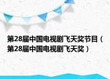 第28届中国电视剧飞天奖节目（第28届中国电视剧飞天奖）