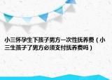 小三怀孕生下孩子男方一次性抚养费（小三生孩子了男方必须支付抚养费吗）