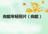 向能年轻照片（向能）