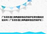 广东惠东港口海龟国家级自然保护区疫情期间还能去吗（广东惠东港口海龟国家级自然保护区）