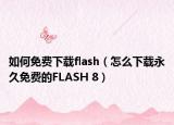 如何免费下载flash（怎么下载永久免费的FLASH 8）
