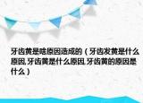 牙齿黄是啥原因造成的（牙齿发黄是什么原因,牙齿黄是什么原因,牙齿黄的原因是什么）