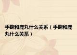 手鞠和鹿丸什么关系（手鞠和鹿丸什么关系）