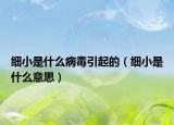 细小是什么病毒引起的（细小是什么意思）