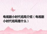 电视剧小时代结局介绍（电视剧小时代结局是什么）