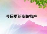 今日更新资阳特产