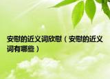 安慰的近义词欣慰（安慰的近义词有哪些）