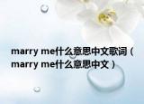 marry me什么意思中文歌词（marry me什么意思中文）