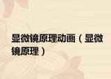 显微镜原理动画（显微镜原理）