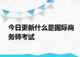 今日更新什么是国际商务师考试