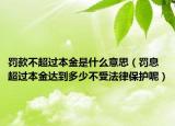 罚款不超过本金是什么意思（罚息超过本金达到多少不受法律保护呢）